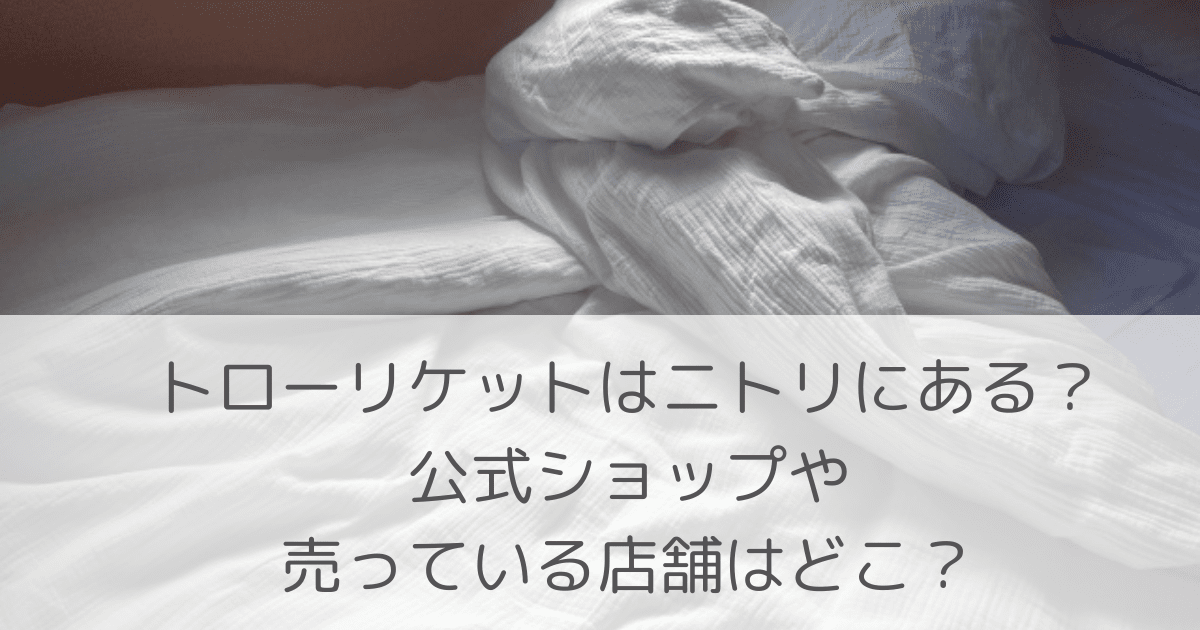 「トローリケットはニトリにある？公式ショップや売っている店舗はどこ？」のアイキャッチ画像